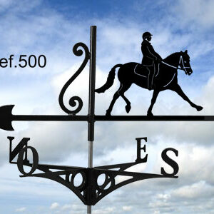 Girouette Cheval au Dressage